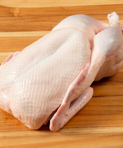 Buy Fresh Frozen Duck Meat