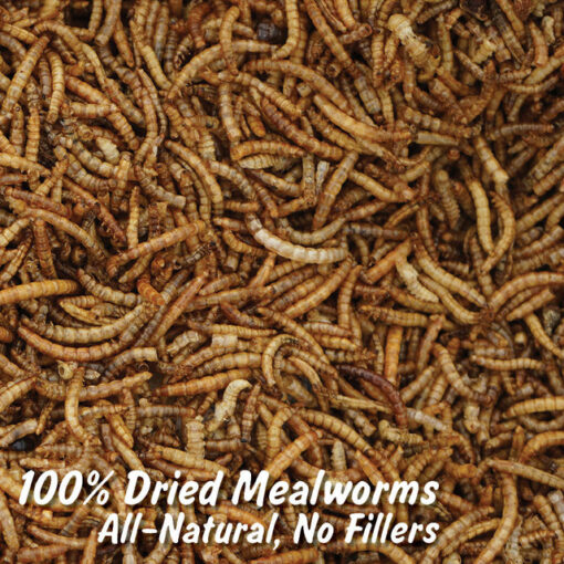 WONDER GRUBS (DRIED MEALWORMS) - 5 LB BAG - Image 4