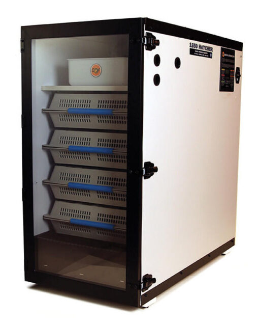 1550 DIGITAL HATCHER