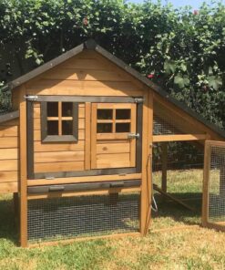 Chalet Chicken Coop