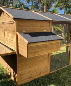Homestead Cat Enclosure