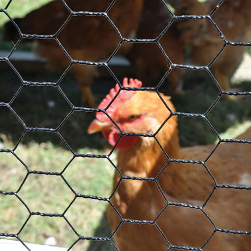 1" Galvanized and PVC Coated, Wire Hex Fencing - Image 2